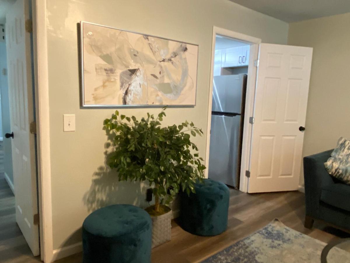 Hhi Homes- Newly Renovated Cozy Modern Pet-Friendly Villa-Ideal Location هيلتون رئيس جزيرة المظهر الخارجي الصورة